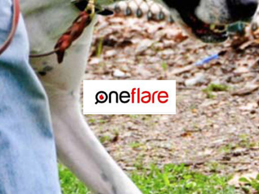 OneFlare: Guide to Dog Walkers