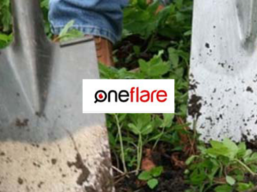 OneFlare: Gardening Article
